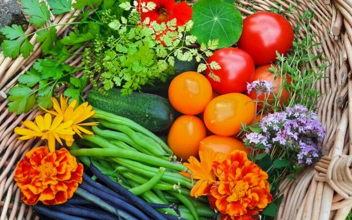 Ryhmä erilaisia vihanneksia ja kasviksia.