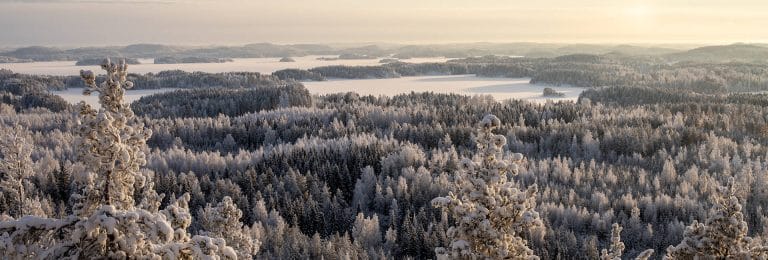 Laajakuva metsä- ja järvimaisemasta.