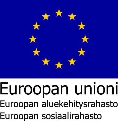 Euroopan aluekehitysrahasto, Euroopan sosiaalirahasto