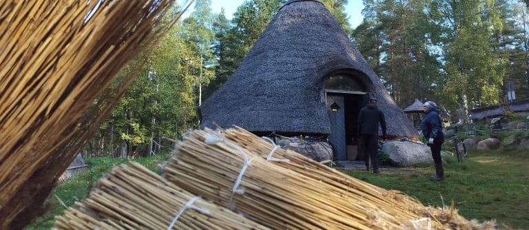 Järviruokonippuja ja kota.